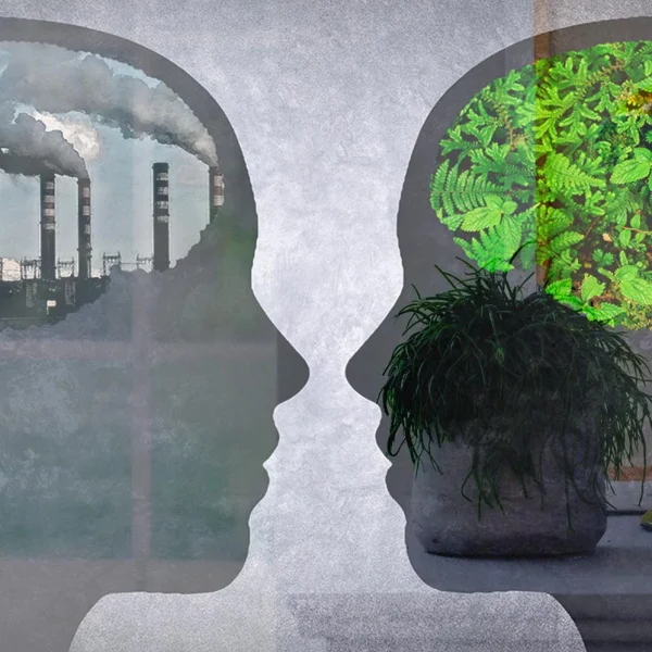 Psicologia_Ambiental_3.jpg