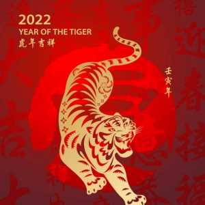 O Que Esperar do Ano do Tigre